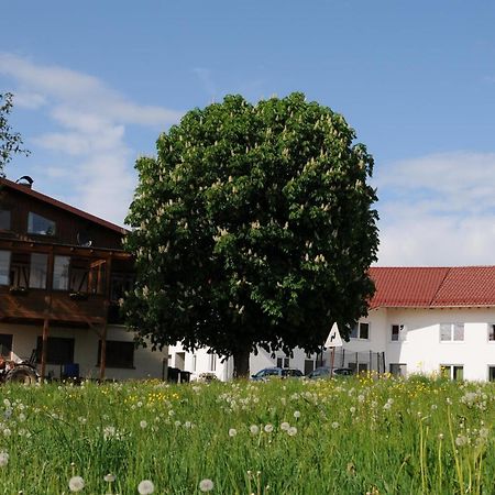 Ferienhof Hopfgaertle Mueller Bodnegg Eksteriør billede